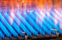 Bushey Mead gas fired boilers